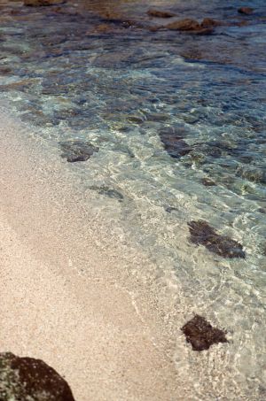 Chileno bay auberge resort beach in los cabos wedding