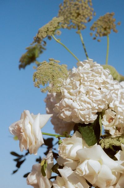 Detail shots of flowers before ceremony wedding in chileno bay auberge resort in los cabos